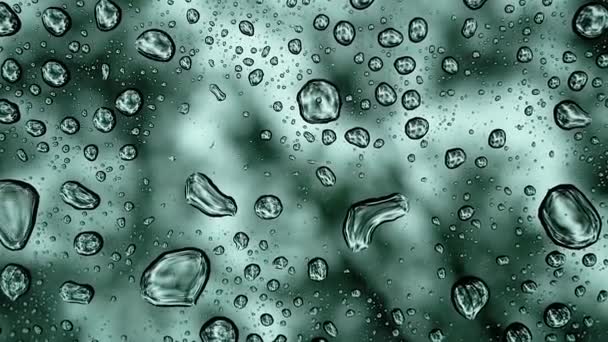 Gotas Lluvia Gotas Agua Sobre Vidrio Transparente Sobre Fondo Naturaleza — Vídeos de Stock