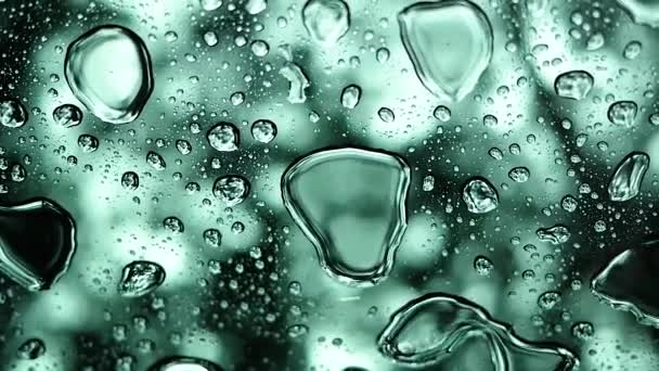 Rain Drops Water Droplets Clear Glass Blurred Nature Background — Stock Video