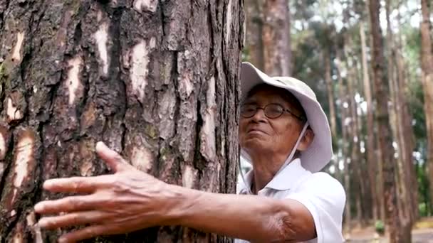 Starszy Pan Przytulający Duże Drzewo Lesie Koncepcja Dnia Ziemi Ludźmi — Wideo stockowe