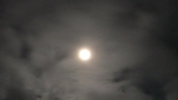 Time Lapse Beautiful Night Sky Moonlight Clouds Background — Stock Video