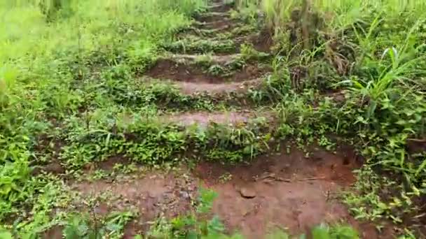 Bewegungsablaufvideo Einer Erdtreppe Mit Gras Auf Dem Wanderweg Berg Bei — Stockvideo