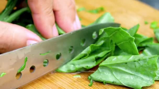 Frauenhände Schneiden Mit Einem Küchenmesser Frischen Grünkohl Auf Einem Holzschneidebrett — Stockvideo