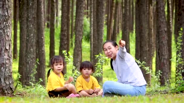 Mãe Feliz Crianças Sentadas Brincando Gramado Verde Jardim Conceitos Tempo — Vídeo de Stock