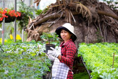 Elinde tabletle mutlu bir dişi çiftçi serada bir çiçeğin yanında duruyor. Çiftçiler ve çiçekçiler için modern teknoloji.