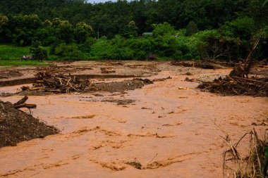 Çamurlu kahverengi taşkın sularının geniş görüşü güçlü bir yağmur fırtınası ve sel felaketinin ardından odun, kütük ve enkaz yığınlarını taşıyarak tarım arazilerine hücum ediyor..