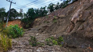 Heyelan enkazı, düşen ağaçlar ve sağanak yağmurdan sonra çamurla kaplı kayalık bir uçurum, doğal afet ve erozyonun etkisini gösteriyor..