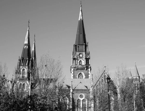 Catedral Gótica Antigua Ciudad Vieja — Foto de Stock