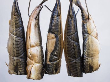 Balık ateşte pişirilir. Fırında uskumru