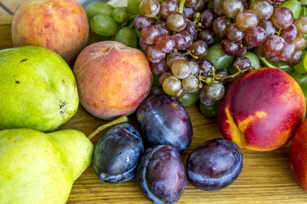 Muitas Frutas Tabuleiro Composição Dos Frutos — Fotografia de Stock