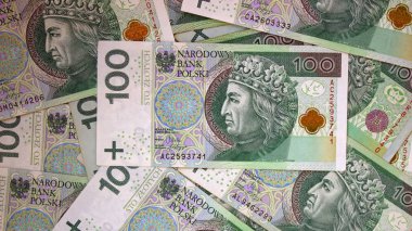 Polonya Zlotisi yakın çekim