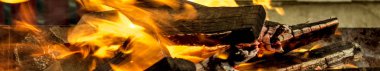 ağaç burns yanıyor