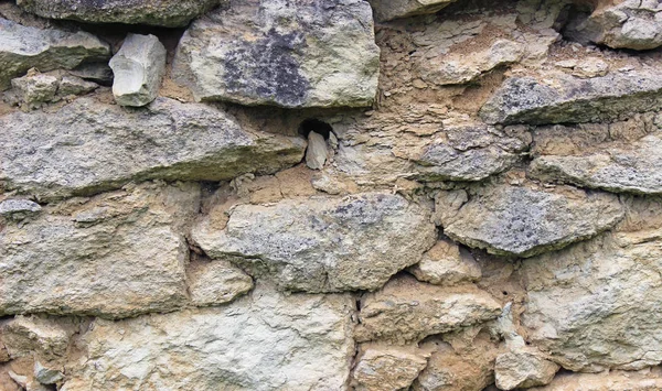Eski Duvarın Dokusu — Stok fotoğraf