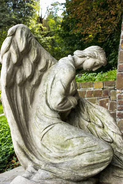 Angel Prays Pity — Stock Photo, Image