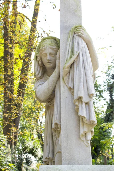 Дева Мария Держит Мертвого Сына — стоковое фото