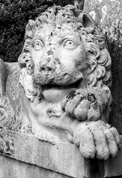 Rzeźba Lwa Cmentarzu — Zdjęcie stockowe