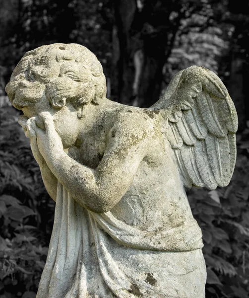 Статуя Ангела Який Страждає — стокове фото