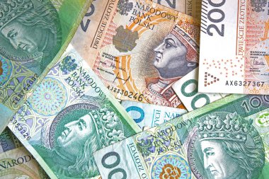 Polonya Zlotisi yakın çekim