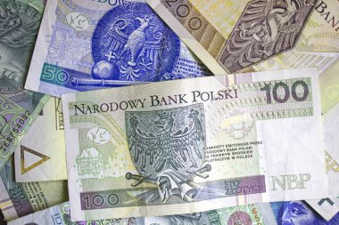 Polonya Zlotisi yakın çekim