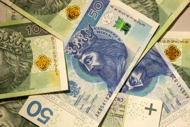 Polonya Zlotisi yakın çekim