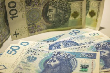 Polonya Zlotisi yakın çekim