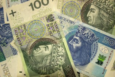 Polonya Zlotisi yakın çekim