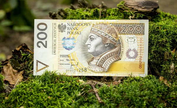 Lengyel Zloty Nemzeti Valuta — Stock Fotó