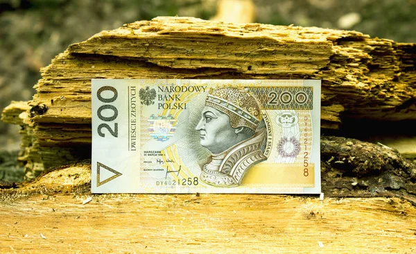 Zloty Polaco Moeda Nacional — Fotografia de Stock