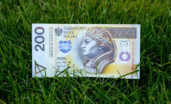 Lengyel Zloty Nemzeti Valuta — Stock Fotó