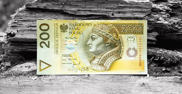 Lengyel Zloty Nemzeti Valuta — Stock Fotó