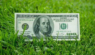 Amerikan Doları olarak çim