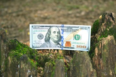 American dollars in the woods clipart
