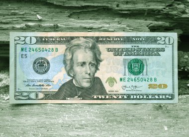 Ormanda Amerikan Doları