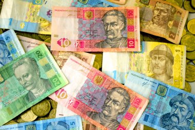 Ukrayna para birimi yakın çekim