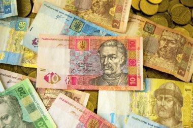 Ukrayna para birimi yakın çekim