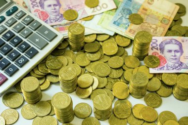 Ukrayna para birimi yakın çekim