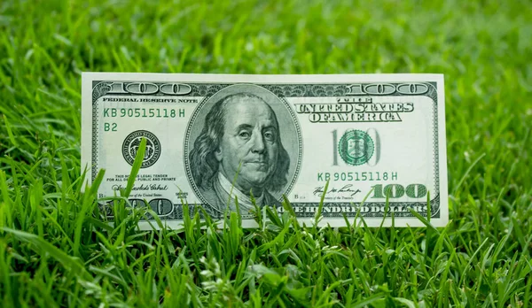 Amerikaanse Dollars Het Gras — Stockfoto