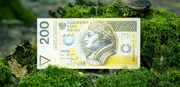 Polish Zloty Close — Stock Photo, Image