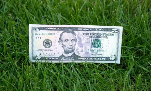 Американських Доларів Траві — стокове фото