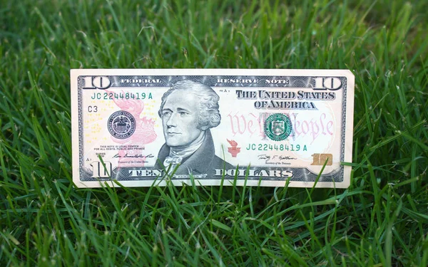 Amerikaanse Dollars Het Gras — Stockfoto