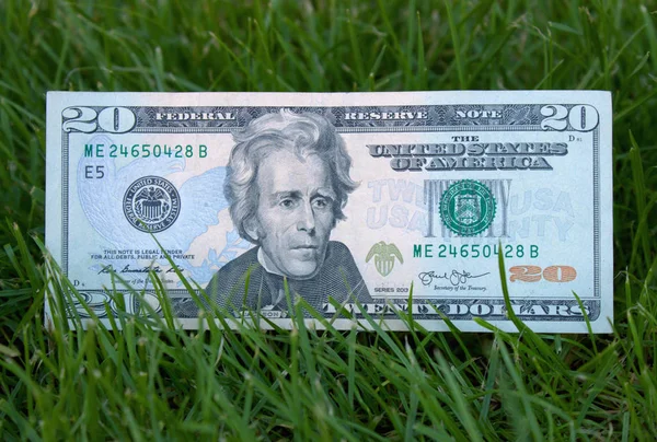 Американських Доларів Траві — стокове фото