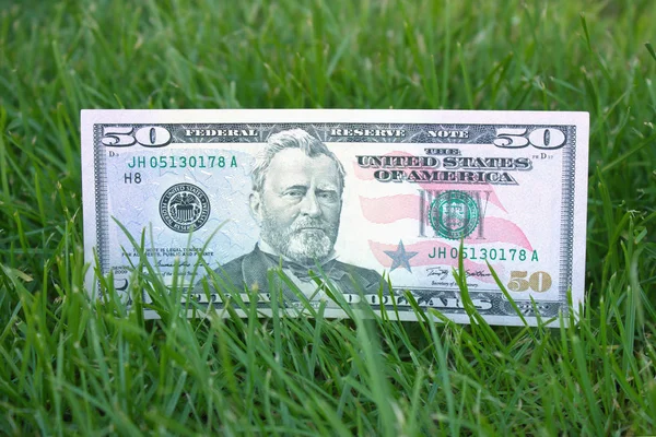 Amerikaanse Dollars Het Gras — Stockfoto