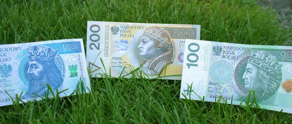 Zloty Polonês Perto — Fotografia de Stock
