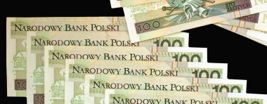 Polonya Zlotisi yakın çekim