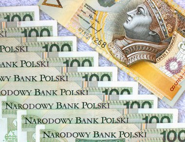 Polonya Zlotisi yakın çekim