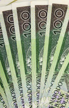 Polonya Zlotisi yakın çekim