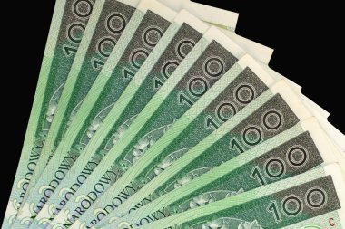 Polonya Zlotisi yakın çekim