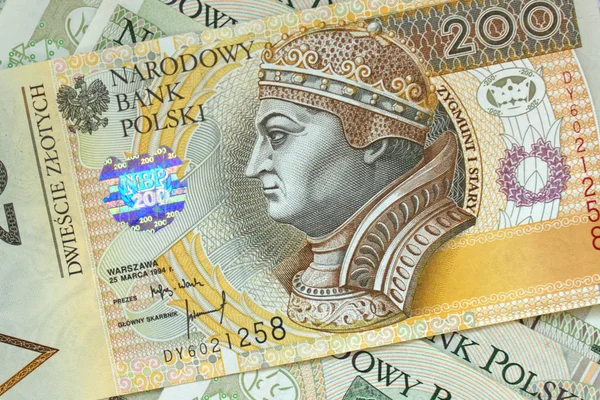 Zloty Polonês Perto — Fotografia de Stock