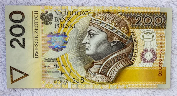 Lengyel Zloty Közelről — Stock Fotó
