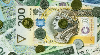 Polonya Zlotisi yakın çekim