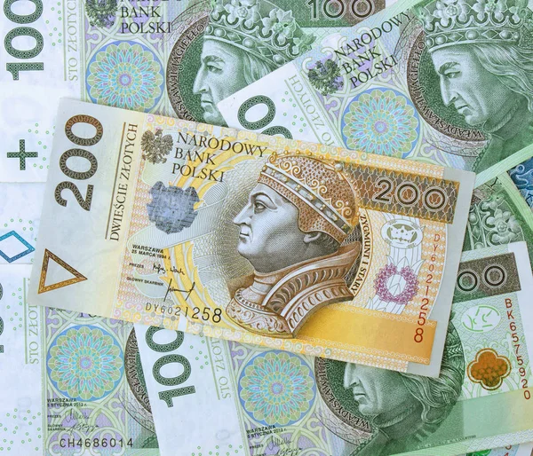 Lengyel Zloty Közelről — Stock Fotó